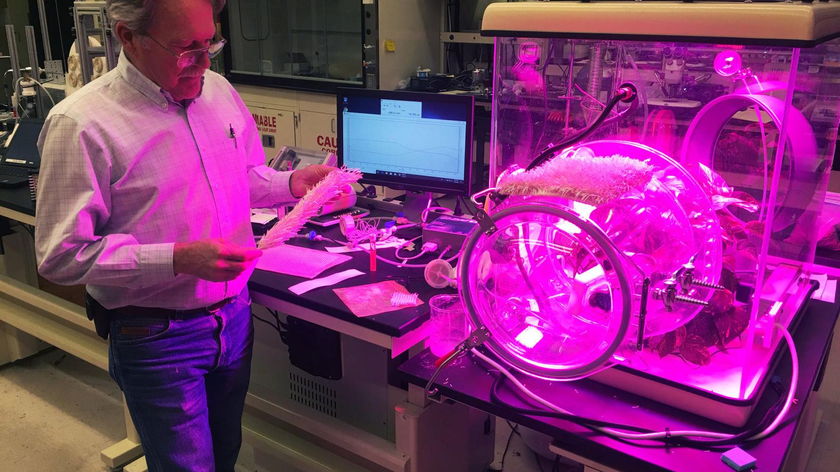 Arizona scientist working to combat rising carbon dioxide levels